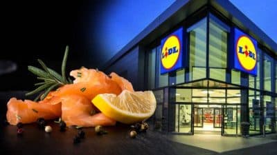 Ce saumon fumé chez Lidl trompe les clients selon 60 Millions de consommateurs