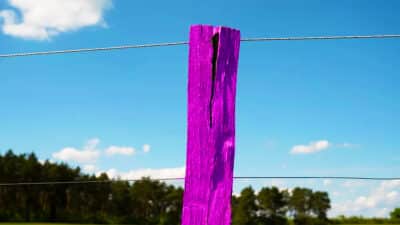 Attention à ce poteau de clôture violet sur les routes, vous devez absolument savoir sa signification