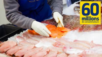 Le meilleur supermarché pour acheter du poisson de qualité au meilleur prix selon 60 Millions de consommateurs