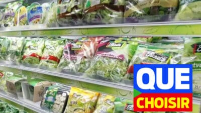 L’UFC-Que Choisir met en garde sur la face cachée des salades en sachet, une enquête effrayante