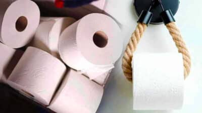 Adieu le papier toilette pour toujours : ses jours sont comptés et son substitut est de la pure magie