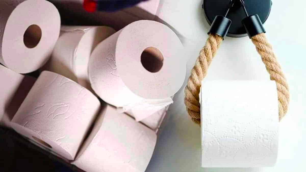 Adieu le papier toilette pour toujours : ses jours sont comptés et son substitut est de la pure magie