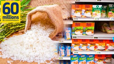 Les 5 marques de riz à bannir de vos courses: elles sont dangereuses pour la santé selon 60 Millions de consommateurs