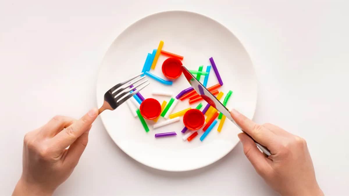 5 habitudes à adopter impérativement pour éviter d’ingérer des microplastiques
