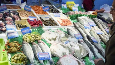 Ce poisson contrôle le cholestérol, protège le cerveau et préserve votre cœur