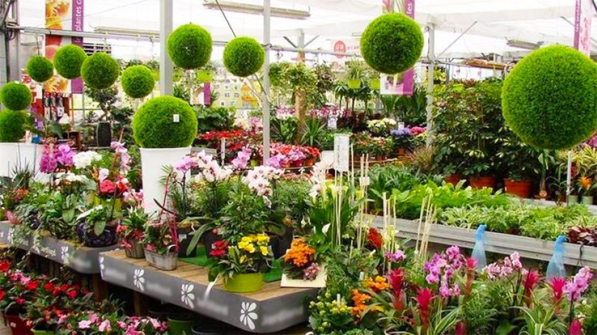 Clap de fin pour cette célèbre enseigne de jardinage : elle annonce la fermeture de 9 magasins en France