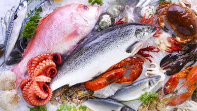 Ce poisson que vous ne devez surtout pas consommer en ce moment : voici pourquoi