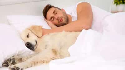 Les personnes qui dorment avec leurs animaux de compagnie ont ces 7 caractéristiques selon les psychologues