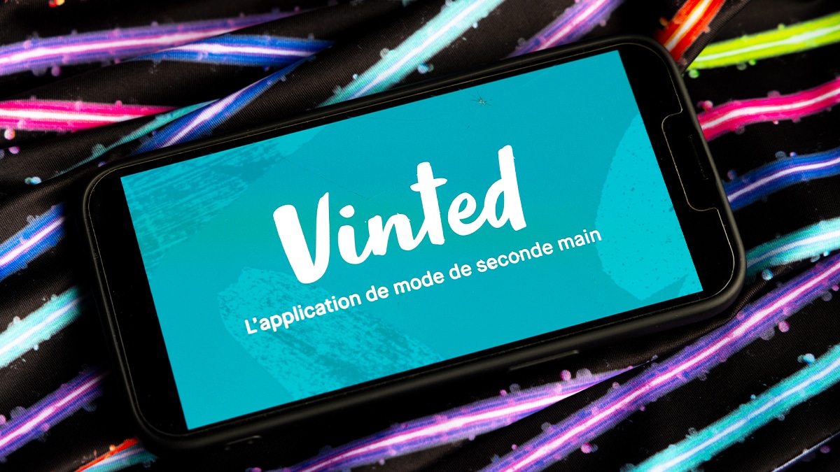 Vendre sur Vinted, Leboncoin et eBay est une mauvaise idée si vous ignorez cette loi