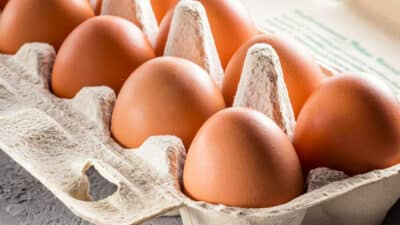 Cette erreur que tout le monde fait avec la boîte d’œufs favorise les bactéries : bannissez-la