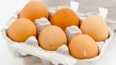 Cette erreur que tout le monde fait avec les boîtes d'oeufs et qu'il faut arrêter au plus vite
